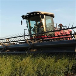 View the Massey Ferguson MF 5400 Series Draper Headers